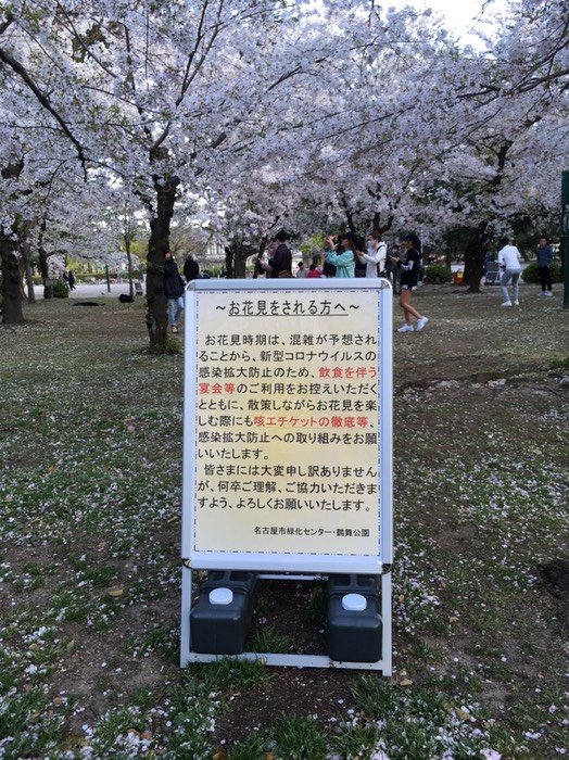 🌸鶴舞公園