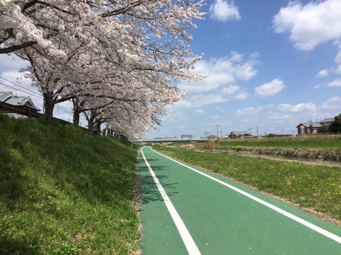 自転車(歩行者)専用道路