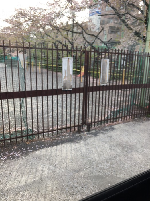 15トヨタレンタ