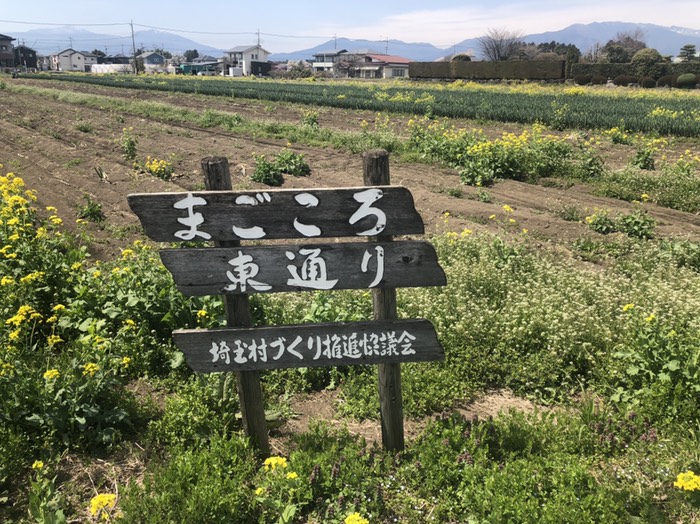 まごころ東通からの眺めは最高！