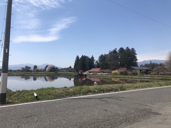 トラクターが耕していた。