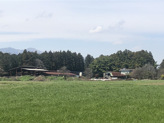 美しい牧場たち