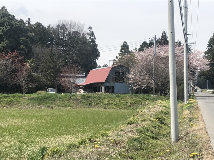 いつもの可愛い牧舎