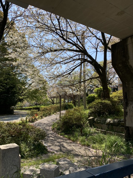 左へ行くと小田原城址公園