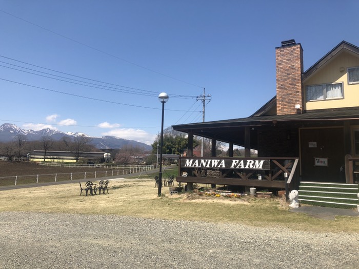 チーズケーキの店