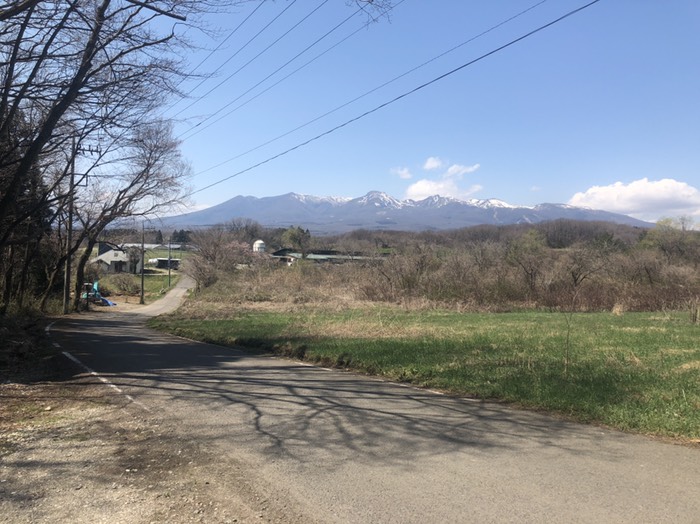 桜が咲いたらくる