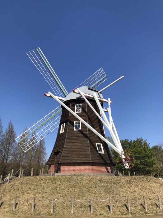 風車(あけぼの山公園)