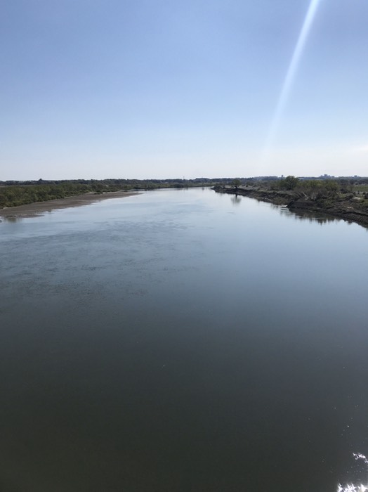 利根川(新大利根橋から)