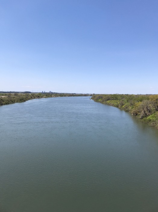 利根川(大利根橋から)