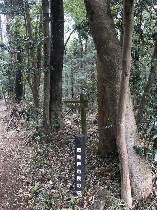 岡発戸市民の森