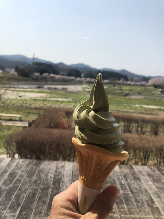 道の駅塙でよもぎのソフト