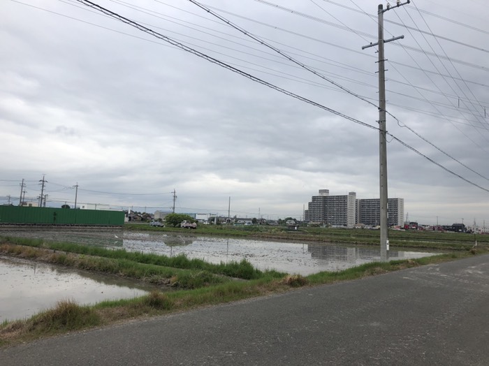 水田と巨大団地とさぎ？