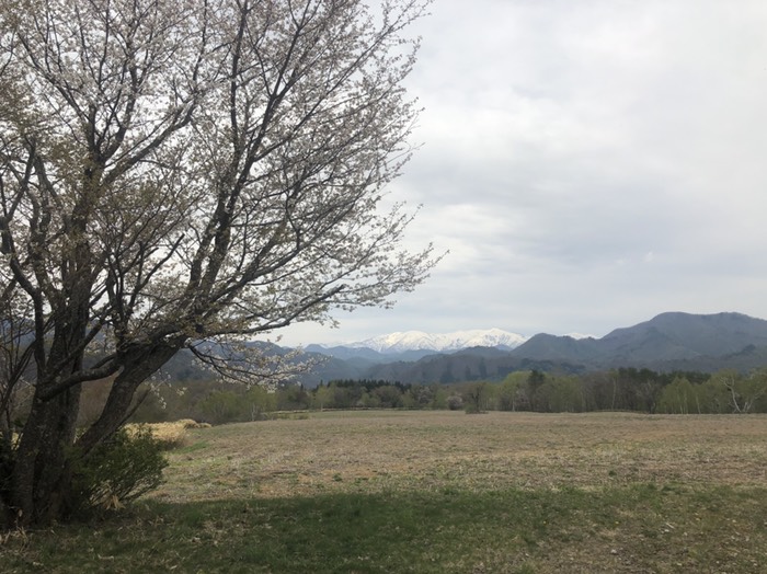 会津駒ヶ岳、高杖蕎麦畑