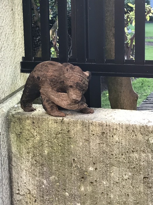 鮭をくわえる熊