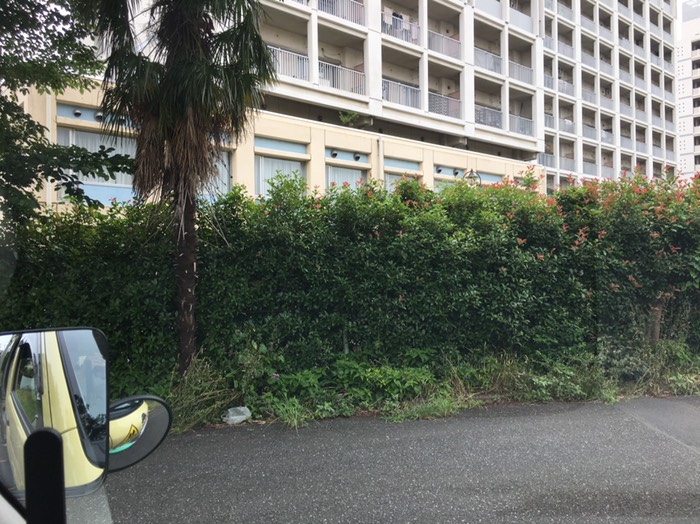 ⑨ 汽車ポッポ公園