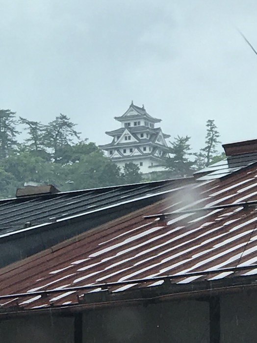 遠くから見た郡上八幡城