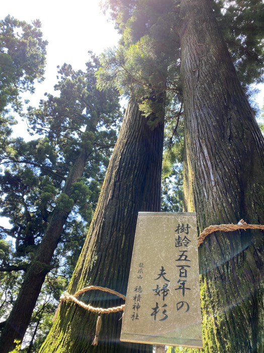 ホントに500年⁉️