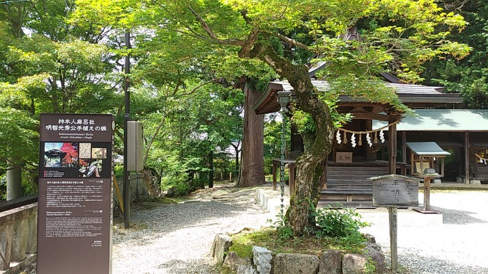 柿本人麻呂社と光秀公手植えの楓