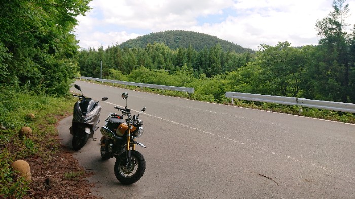 車停めれます。