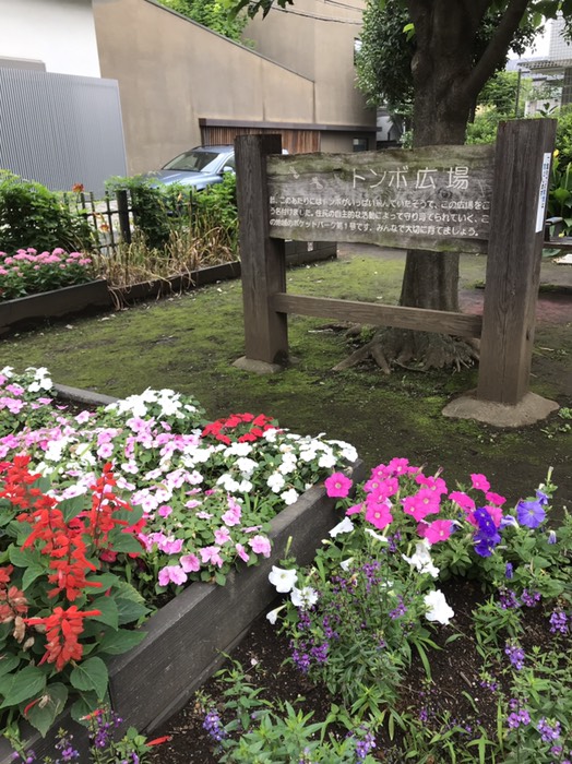 トンボ広場