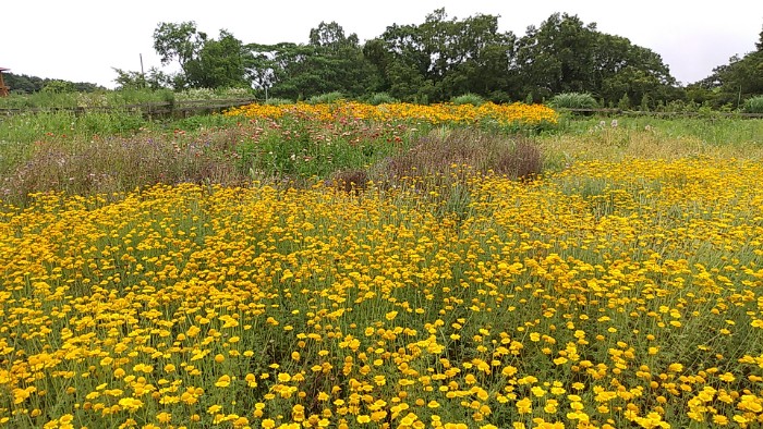 ハーブガーデン