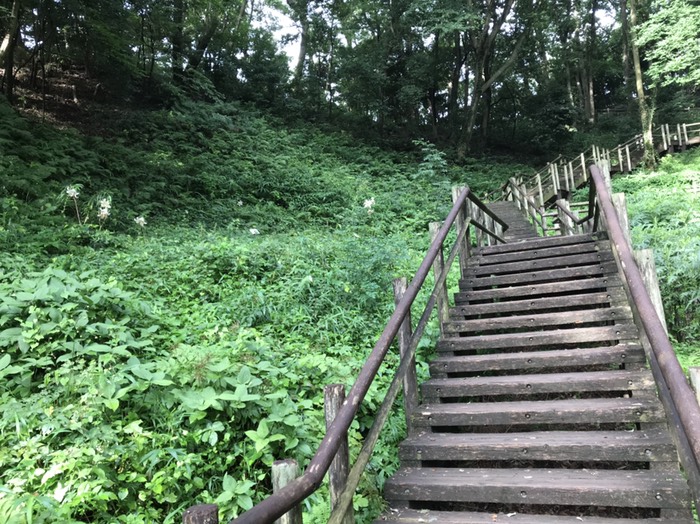 東高根森林公園