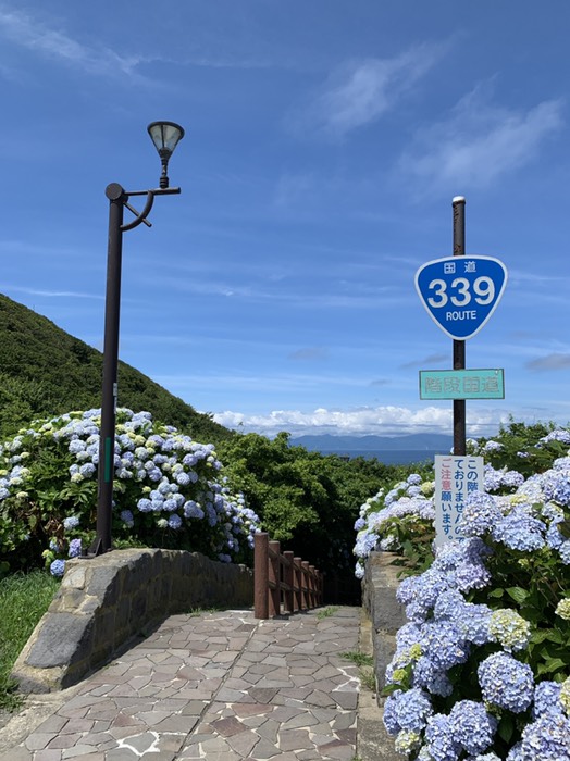 階段国道339号線