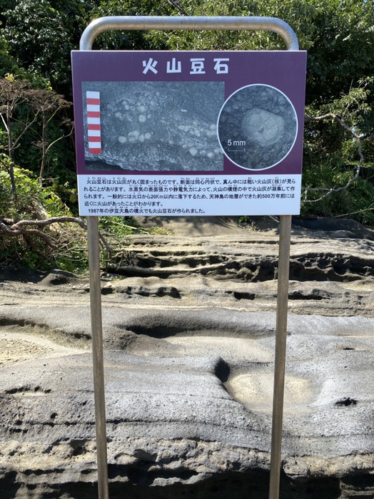 火山豆石