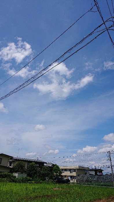 スカーーッと！