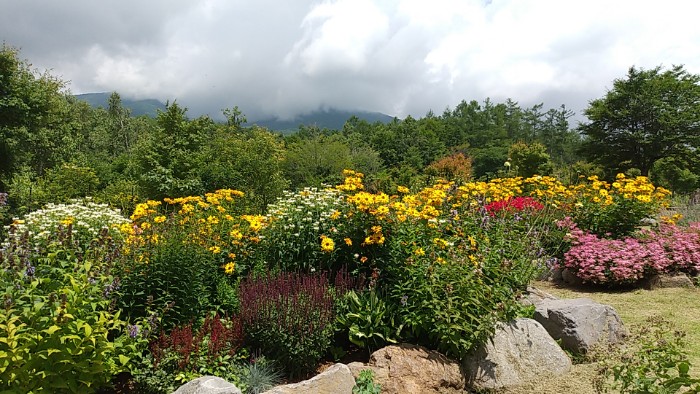 ロックガーデン