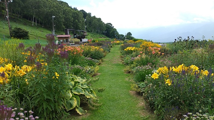 ミラーガーデン