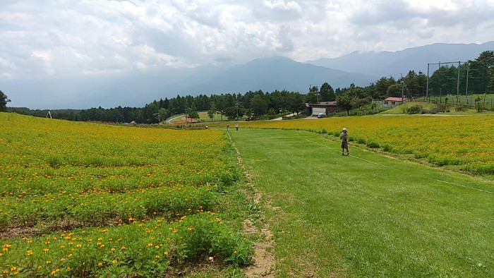 ロマンスエリア