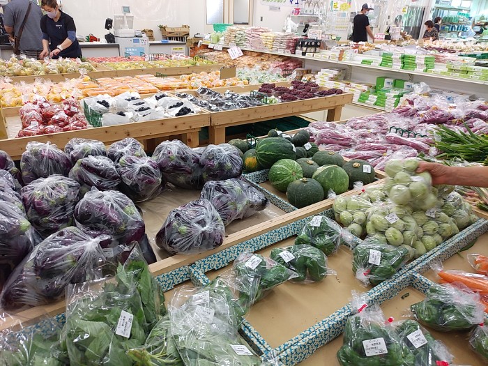 道の駅 田原めっくんハウス