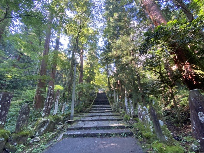 大雄山最乗寺参道