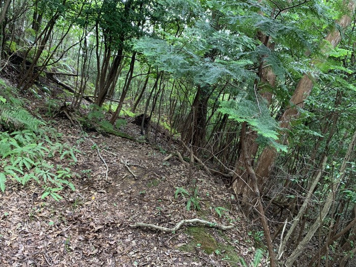 柵上限候補　上