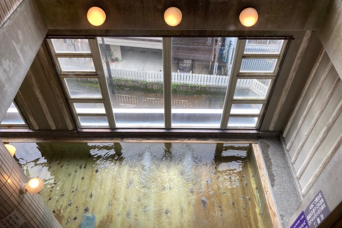 写真撮っちゃいましたー