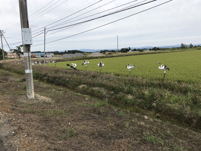 道端の田んぼのアゼに何故かこんなものが