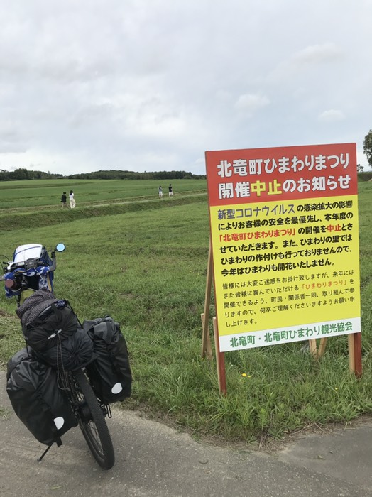 日本最大のひまわり畑