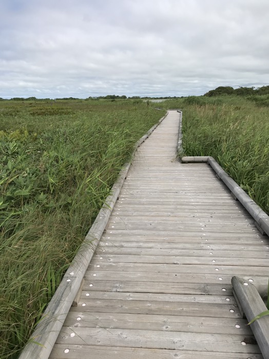 長沼へ続く木道