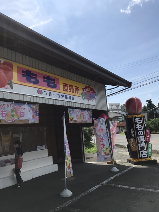 いつもの桃販売店
