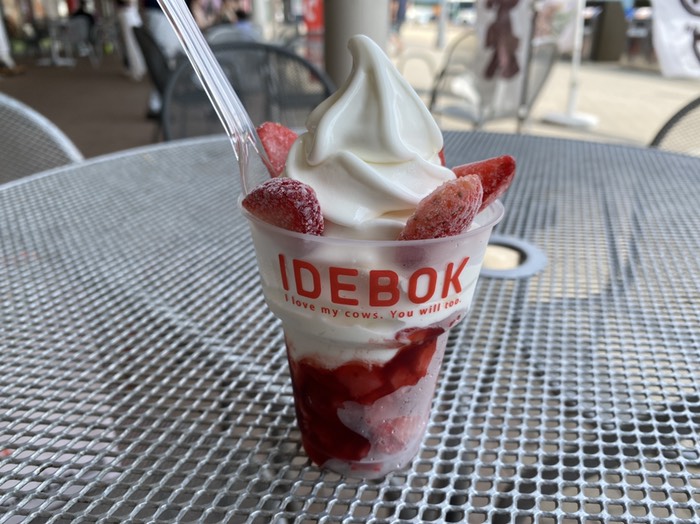 いでぼくソフト