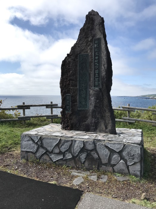 あざらしの餌付け体験