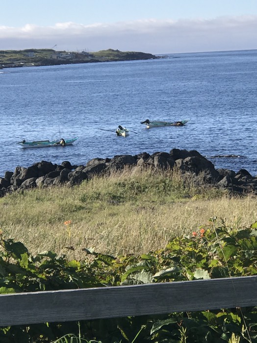 早朝からウニ取りをする漁師達