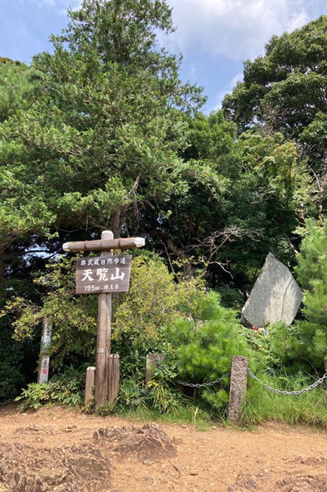 せっかくなので頂上まで行きました！