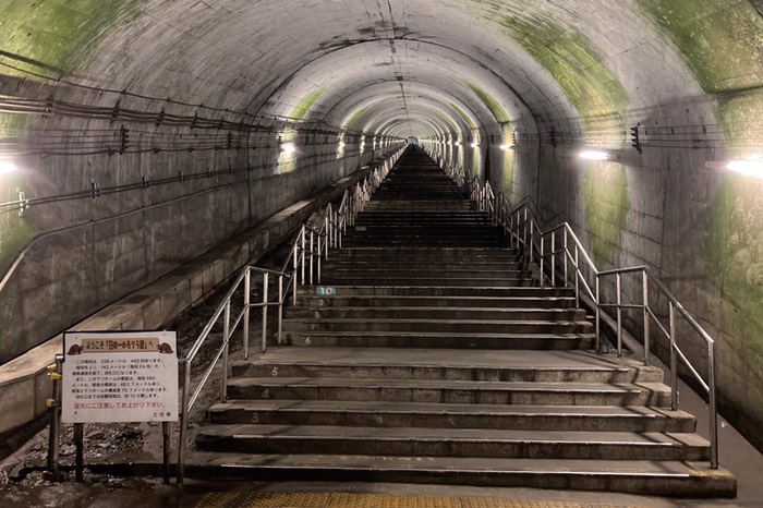 下から眺める！