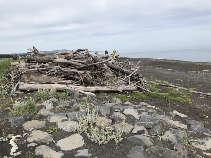 この上から写真を撮りました