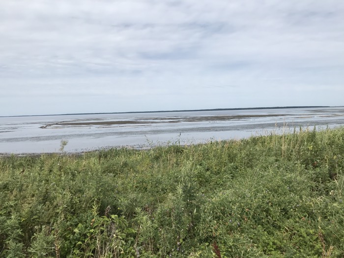 サロマ湖キムキャップから見る干潟