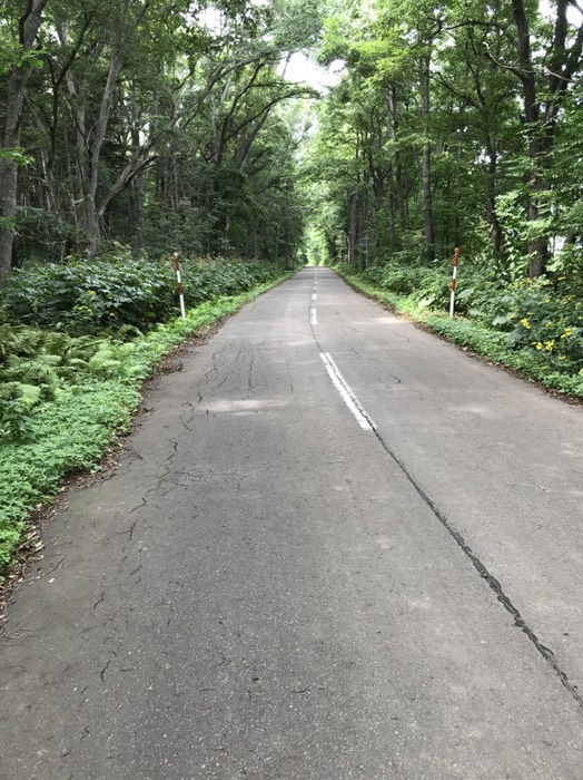 キムアネップから続く3.2Kmの林間道