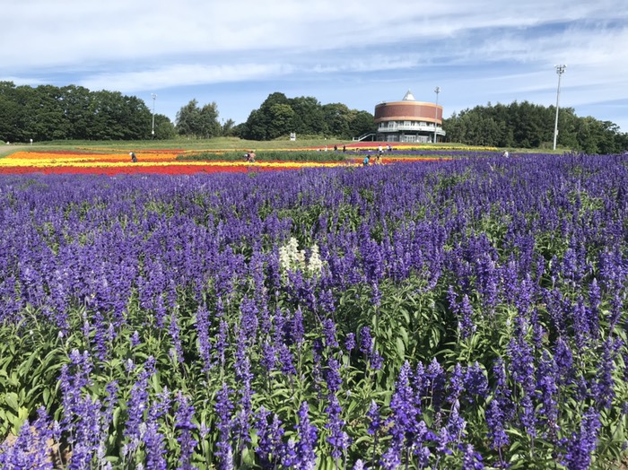 フラワーガーデン1