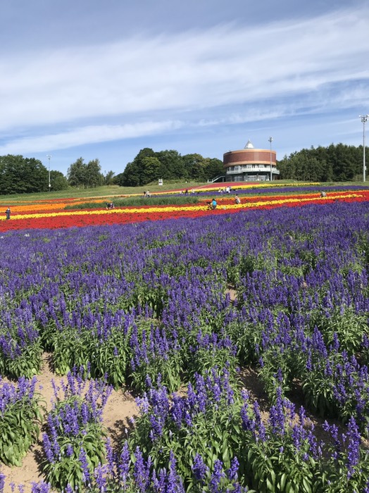 フラワーガーデン2